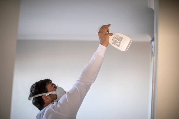 Best Attic Mold Removal  in Terre Hill, PA
